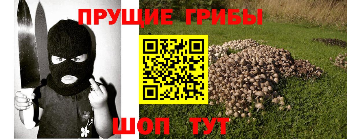 Буйнакск  Галлюциногенные грибы мицелий  Вход с VPN 