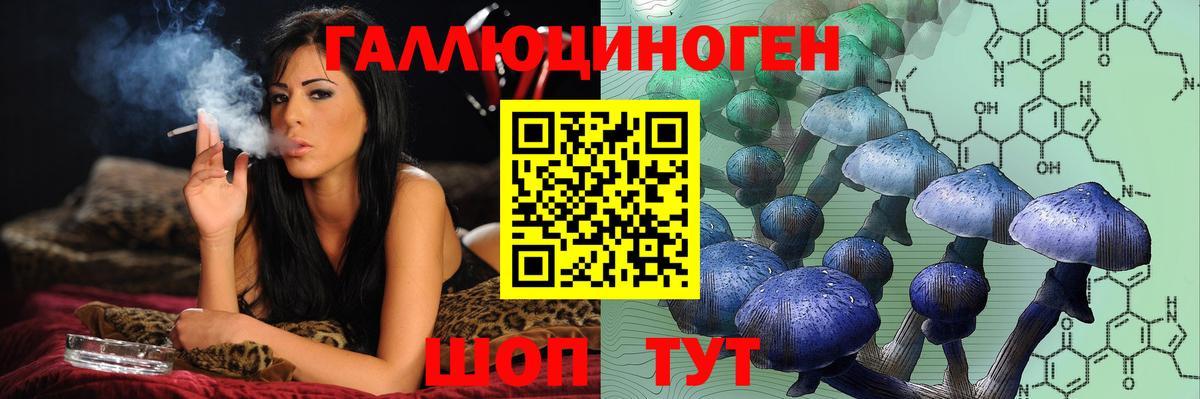 Псилоцибиновые грибы Cubensis Буйнакск